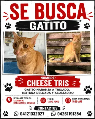 Chestri