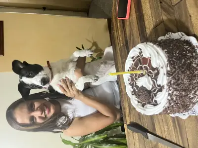 Dogy