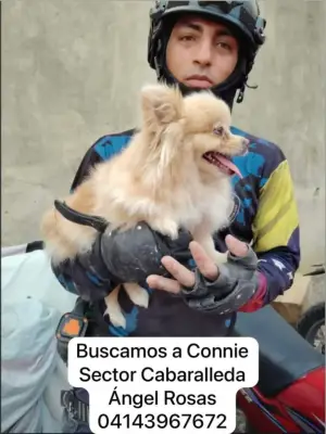 Foto de Connie, reunida con su familia
