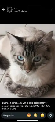 LUNA