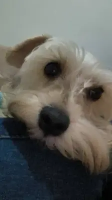 Lía — foto 4