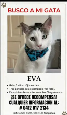 Eva