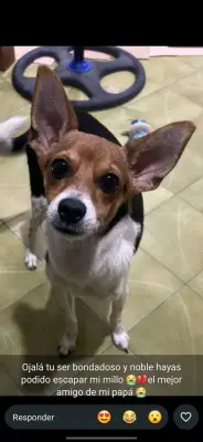 Milo