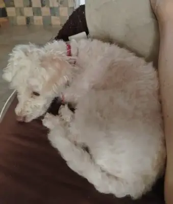 Chloe
