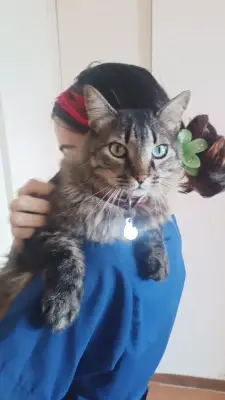REMI