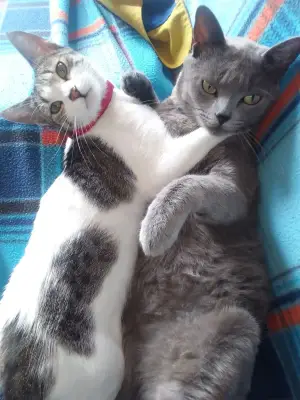 Nana y jhony
