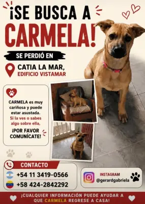 Carmela