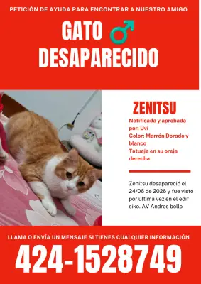 Zenitsu
