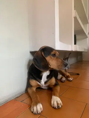 Tobby, reunida con su familia — foto 4
