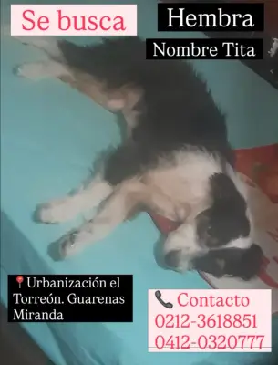 Tita