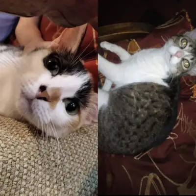 Pelusa y Chiqui
