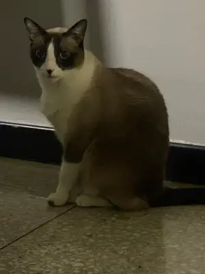 Billy