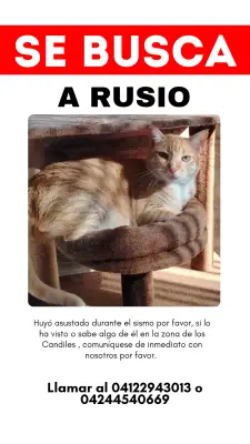 Rusio