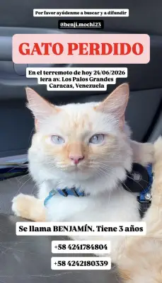 Foto de Benjamin, reunida con su familia
