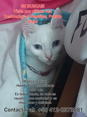 Blanca (carita)
