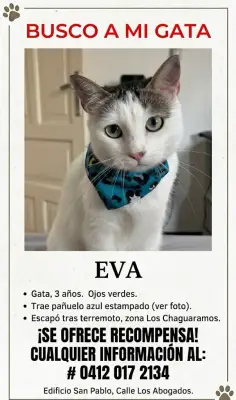 Eva