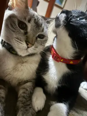 Niña y Negra