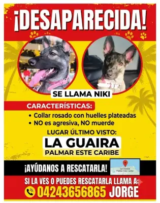 Niki, reunida con su familia — foto 2