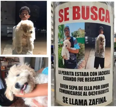 Zafina