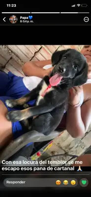 Kira