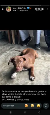 Moka