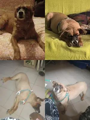 Foto de Coco, reunida con su familia
