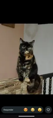 Kira