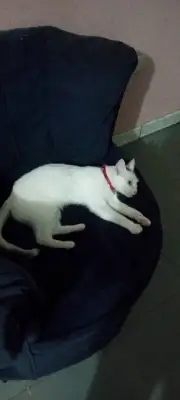 Lupita