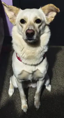 Alaska