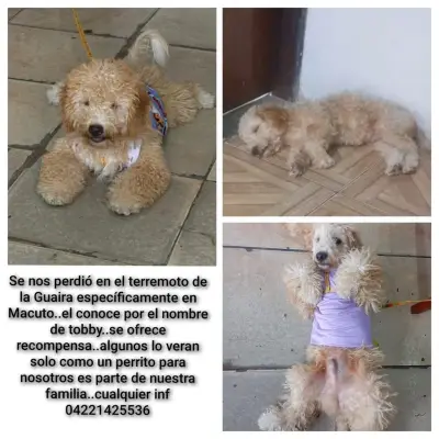 Tobby
