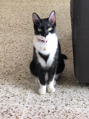 Nancy