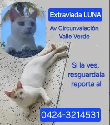 Luna