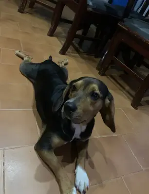 Tobby, reunida con su familia — foto 2