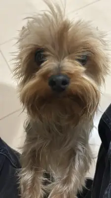 Zeus