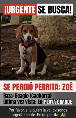 Foto de Zoé, reunida con su familia