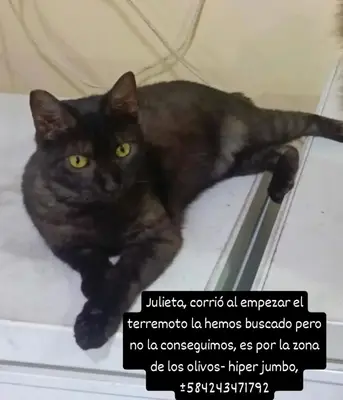 Julieta