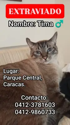 Tima