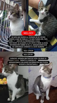 Melody