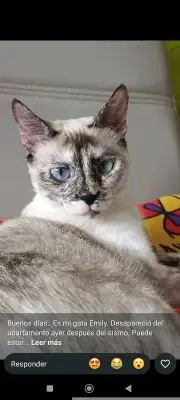 Emily