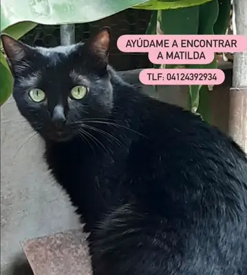 Matilda