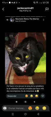 Fifi