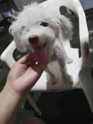 Zami