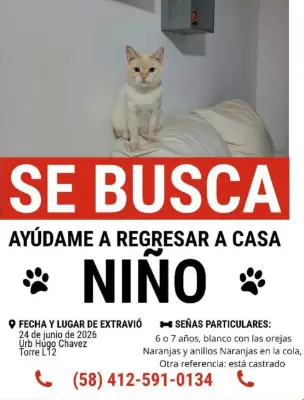 Niño
