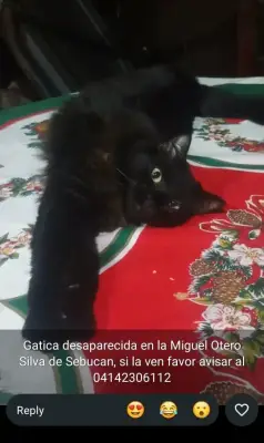 desconocida