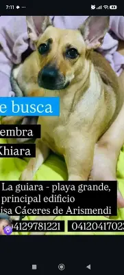 Foto de Khiara, reunida con su familia