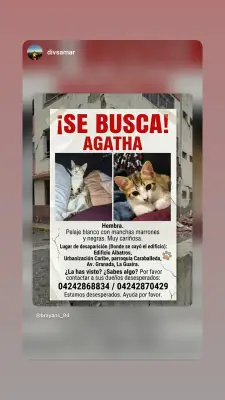 Agatha
