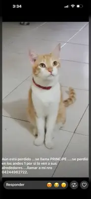 Príncipe