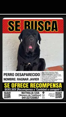 Ragnar Javier — foto 4
