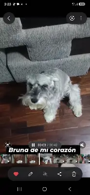 Bruna Sanz Peña — foto 2