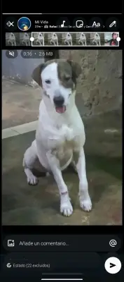 Zeus